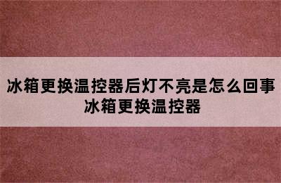 冰箱更换温控器后灯不亮是怎么回事 冰箱更换温控器